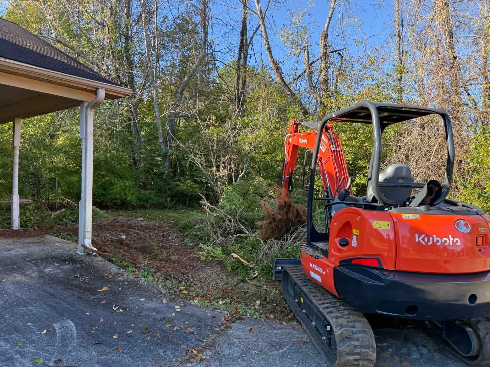Tree removal service